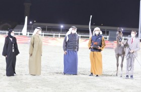 مربط دبي يؤرخ في «العين» سطوته بين المربين