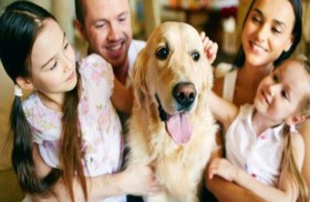 40 بالمئة من حيوانات البريطانيين جزء من العائلة