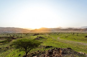 تنمية سياحة رأس الخيمة تطرح مبادرات لدعم شركائها 