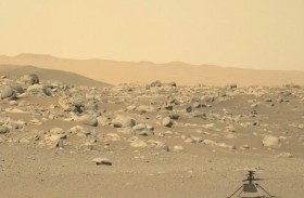 دراسة تحدد النبتة القادرة على النمو في المريخ