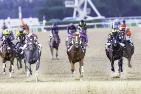 اليوم.. تنافس 101 خيل في أمسية «سوبر ساترداي»