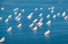 سباق دلما التاريخي للمحامل  الشراعية 60 قدماً ينطلق غدا