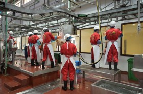 بلدية مدينة أبوظبي تهيب بالمجتمع عدم التعامل مع القصابين الجائلين أو تجهيز الذبائح في المرافق العامة والشوارع والمنازل  