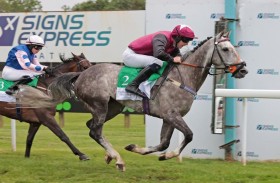 7 خيول تتنافس على كأس الوثبة في بريطانيا