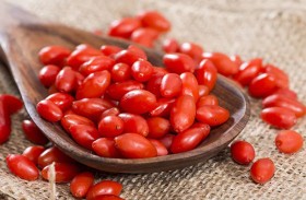 فوائد ثمار غوجي للصحة