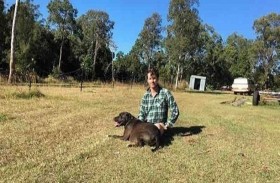 تهرع لحادث سيارة فتكتشف وفاة ابنها 