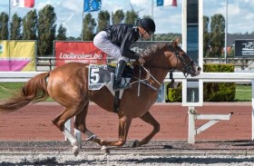 المهرة (رازا بي) تحرز كأس الوثبة للسرعة في بلجيكا