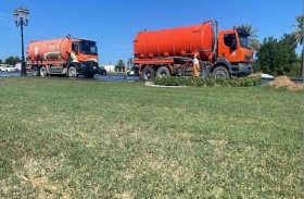 بلدية الشارقة تخصص 5 لجان استعداداً لموسم الأمطار