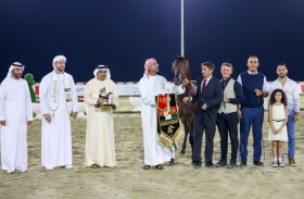 مربط دبي يغنم ذهبية وثلاثية فضية ويحافظ على مكانته الإنتاجية التاريخية في مهرجان الشارقة كلباء الخامس