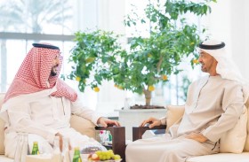 رئيس الدولة يستقبل الأمير خالد بن سلمان 