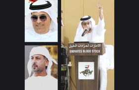 11 مليون و164 ألف درهم إجمالي المبيعات