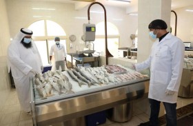 بلدية الحمرية تنفذ 115 زيارة تفتيشية ضمن حملتها الرقابية على الأسواق والمطاعم خلال شهر رمضان