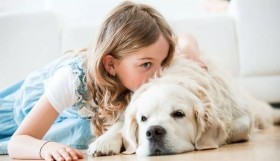 علماء يكتشفون طريقة لقول أنا أحبك للكلاب