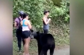 «سيلفي خطير» برفقة دب