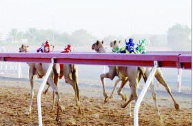 منافسات قوية في سباق «سن الفطامين» بميدان الذيد