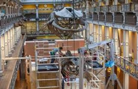 دقة عالية.. تفكيك هيكلَين عظميين لحوتَين