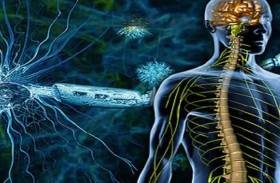 طفرة جينية تلعب دوراً في تقدّم حالة المصابين بالتصلّب اللويحي 