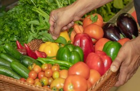 المهرجانات الزراعية في الإمارات.. منصات لاستعراض أبرز التقنيات وزيادة تنافسية المنتجات المحلية