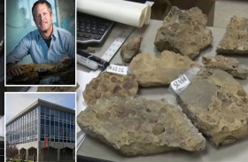 أحافير عمرها 380 مليون سنة في مكب النفايات 