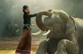 مصرع سائحة أثناء اللهو مع فيل