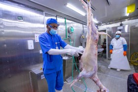 مسلخ متنقل بموقع مهرجان ليوا الدولي لتعزيز مستوى السلامة الغذائية والصحة العامة 