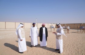 بلدية منطقة الظفرة تنظم 185 حملة تفتيش خلال العام الماضي 2023