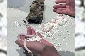 مسافر يخفي ثعبانين في سرواله