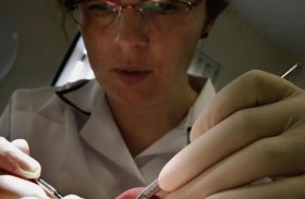 المنفذ.. تنبيه طبي إلى نقطة تسلل الأمراض إلى الجسم