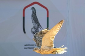 إطلاق كأس الإمارات العالمي لسباقات الصقور اعتباراً من موسم 2025 - 2026 