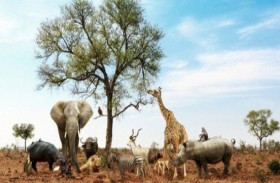 حيوانات مهددة بالانقراض.. والسبب التغيرات المناخية القاسية