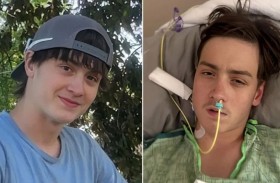 لدغة عنكبوت كادت تقتله