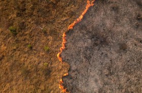 الاحترار المناخي فاقم حدة الحرائق في بانتانال البرازيلية 