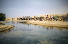 دبي للسياحة تناقش إرشادات المخيمات السياحية وفقا لقرار المجلس التنفيذي الجديد