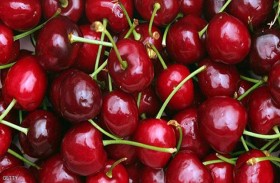 7 فوائد غير متوقعة للكرز.. وميزة سحرية للنساء