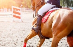 نهاية درامية لفارسة في مسابقة للفروسية