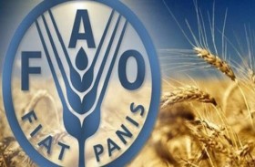 الفاو: تراجع أسعار المواد الغذائية  في مايو للشهر الثاني على التوالي 
