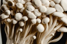 ليستيريا.. أميركا تربط المرض بـ «منتج ملوث»