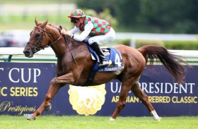 الجواد «هتال» بطل كأس رئيس الدولة للخيول العربية في فرنسا