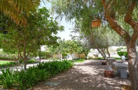 بلدية مدينة أبوظبي تطلق مبادرة «سقيا الطيور وبناء الأعشاش» تعزيزاً لحماية عناصر البيئة