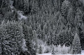 إنقاذ فتى سوري حاول الوصول إلى النمسا عبر «الطريق الوعر»