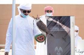 «أم 7» يدخل صراع المنافسة و«أف 3» يواصل التفوق في بطولة فزاع للصيد بالصقور «التلواح»