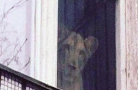 لبوة في شقة سكنية