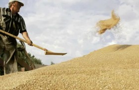 مخاوف متزايدة من حدوث مجاعة في أوكرانيا 