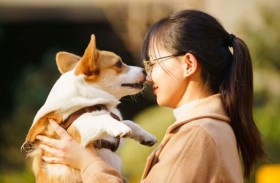 يدفعون مبالغ ضخمة للتواصل مع حيواناتهم النافقة