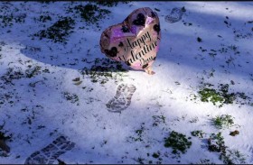 صقيع قطبي وعواصف ثلجية تجتاح الولايات المتحدة 