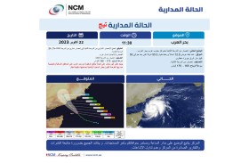 «تيج» تتحول إلى إعصار من الدرجة الثانية