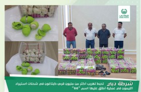 شرطة دبي تضبط أكثر من مليون قرص كبتاغون في شحنات استيراد الليمون