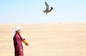 بطولة «تحديات الزاجل» للصقارة تنطلق الجمعة