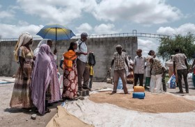 تناحر عرقي..  النزاع في تيغراي صراع من أجل البقاء 