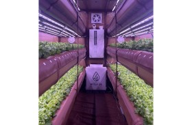 جامعة أبوظبي تفتتح أول مزرعة هوائية في حرمها الجامعي 